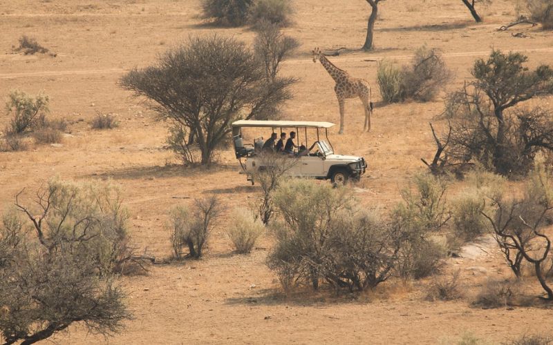 Las Mejores Aplicaciones Para Organizar Un Viaje A África